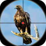 鸟狩猎：沙漠狙击手