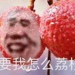 小黑子荔枝一点