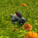 截图通缉令特别活动：寻找游戏中的兔子