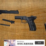 新枪已更新——SIG Sauer P226海军型手枪