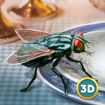 苍蝇模拟器3D修改版