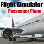Flight Sim Passenger Plane