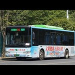 柳州公交车