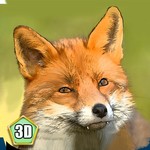 野生狐狸模拟2017修改版