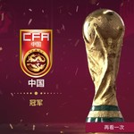 恭喜中国队夺得世界杯冠军