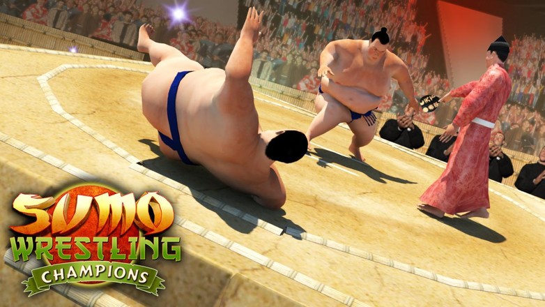 Sumo Wrestling Champions -2K18 Fighting Revolution截图5
