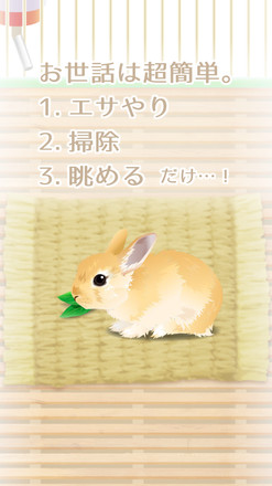 癒しのウサギ育成ゲーム截图3
