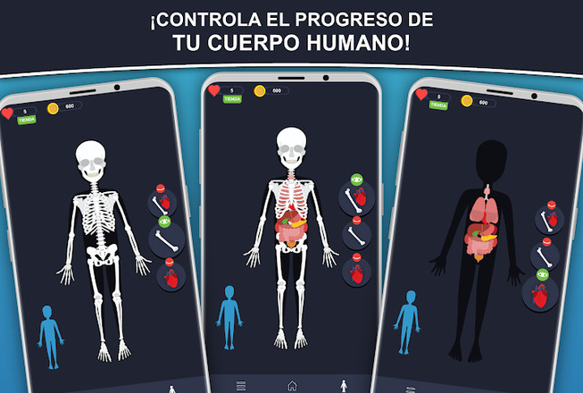 Anato Trivia - Quiz sobre Anatomía Humana截图3