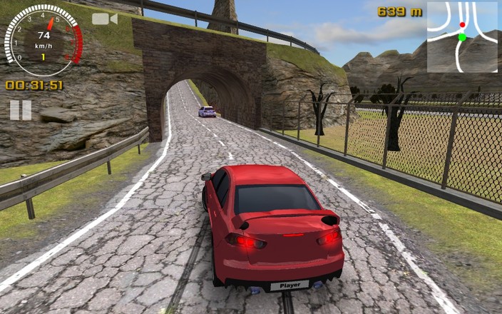 Racing Simulator截图8