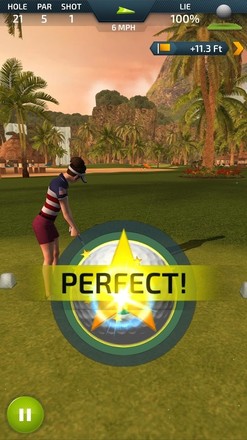 Pro Feel Golf截图5