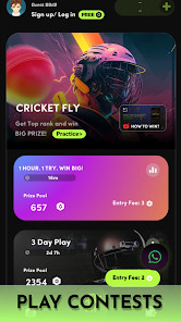 Cricket Fly - Sports Game截图6