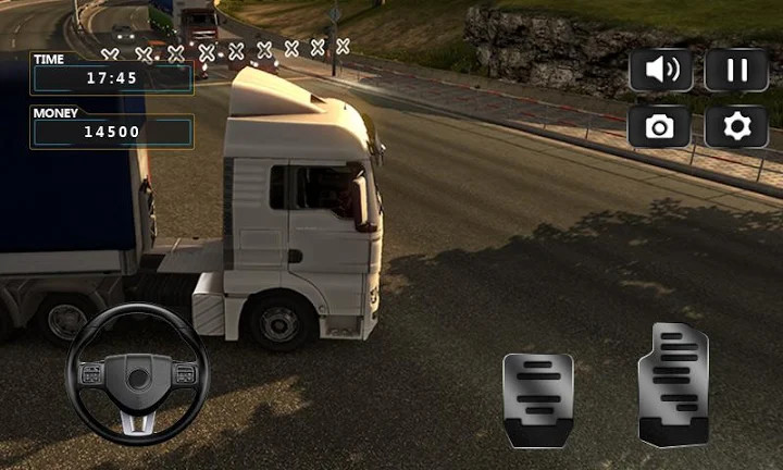 Realistic Truck Simulator 2019截图2