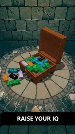 Unblock 3D Puzzle Slide Blocks截图1