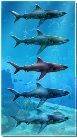 Shark Attack Game - Blue whale sim截图5