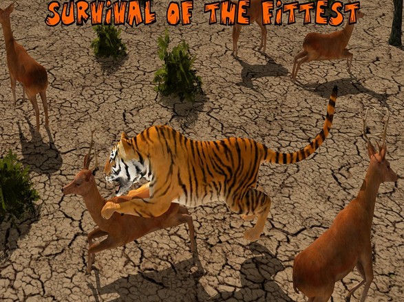 Lion Vs Tiger Wild Adventure截图10