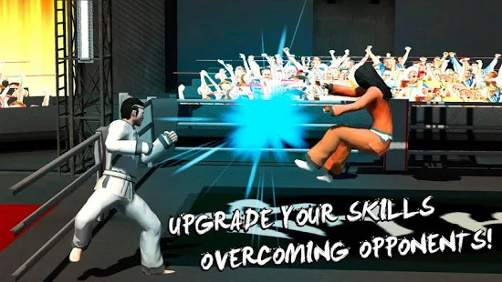 Karate Fighting Tiger 3D截图3