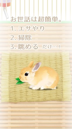 治愈兔兔养成汉化版截图5