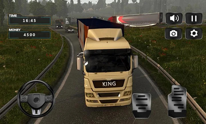 Realistic Truck Simulator 2019截图4