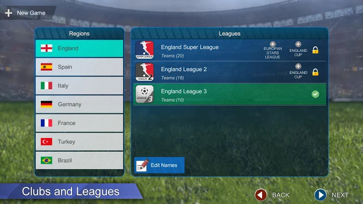 Pro League Soccer截图3