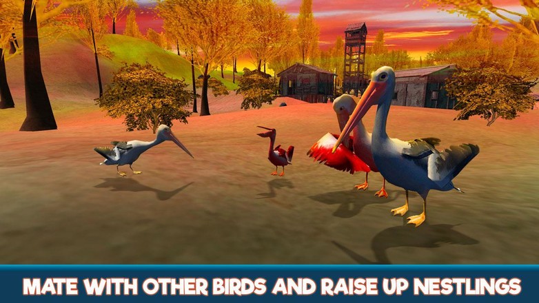 Pelican Bird Simulator 3D截图2
