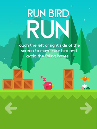 Run Bird Run截图2