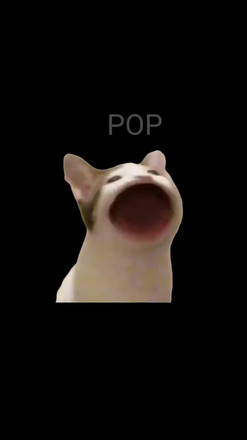 PopCat截图2