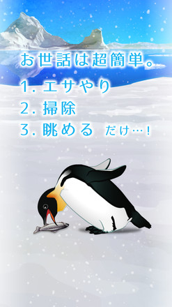 癒しのペンギン育成ゲーム截图7