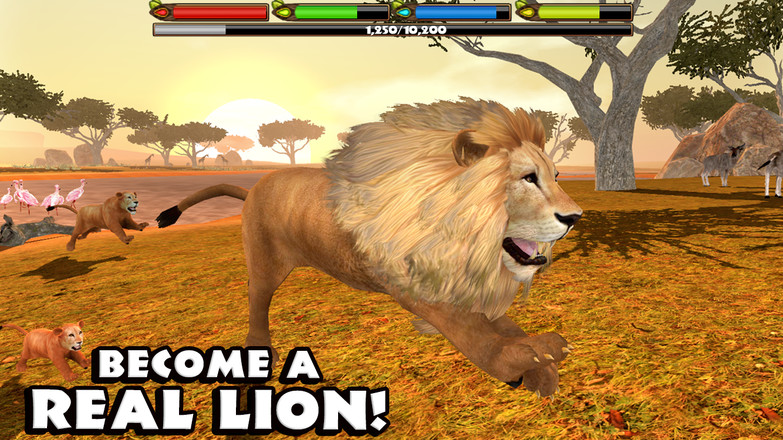 Ultimate Lion Simulator截图9