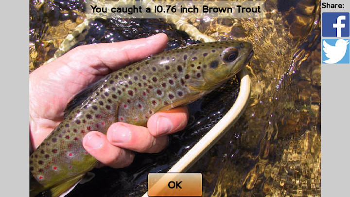 Fly Fishing Simulator HD截图1