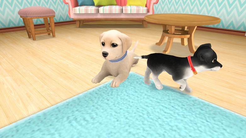 Dog Town：宠物店游戏、照顾狗并与狗一起玩截图7