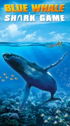 蓝鲸2017 - 饥饿的鲸鱼游戏截图3