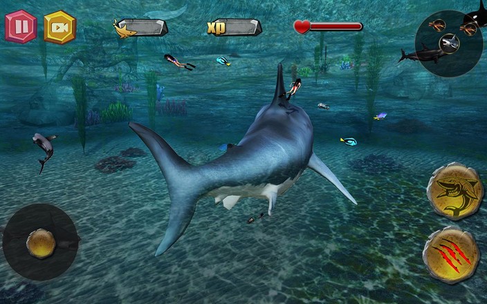 深海狂鲨截图7