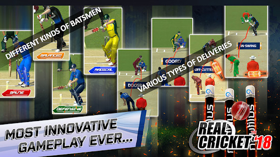 Real Cricket™ 18截图6