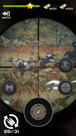 Wilderness Hunting：Shooting Prey Game截图2