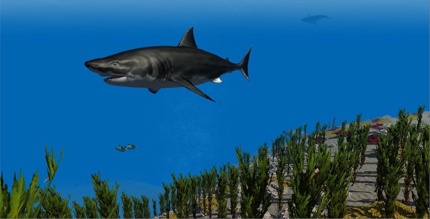 Shark Simulator 3D截图1