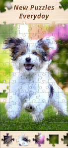 Jigsaw Premium Puzzles HD截图6