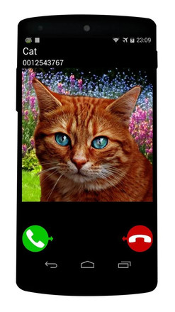 fake call cat game截图1
