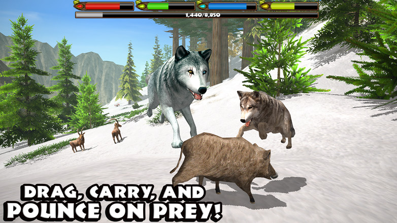 Ultimate Wolf Simulator截图8