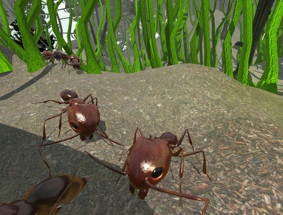 蚂蚁模拟3D截图8