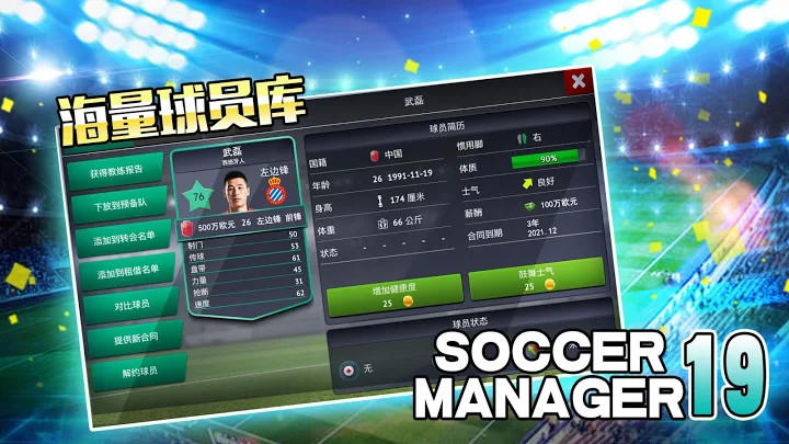 Soccer Manager 2019 - SE/足球经理2019截图2