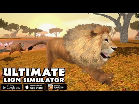 Ultimate Lion Simulator截图5