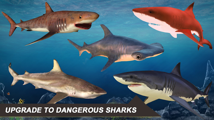 Shark Simulator 2018截图4