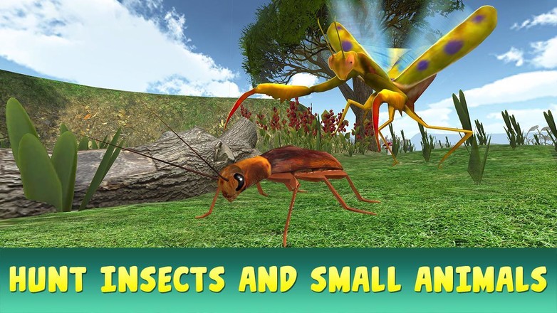 Mantis Insect Life Simulator截图4