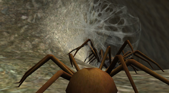 Spider Nest Simulator - insect and 3d animal game截图3