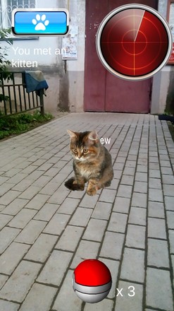 Pocket Kitten GO截图5