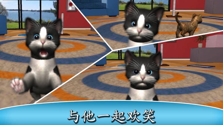 Daily Kitten : 虚拟宠物猫小猫动物截图7