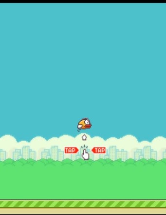 Flappy Bird（测试版）截图5