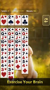 Solitaire Pal: Big Card截图5