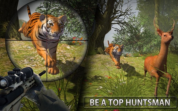丛林动物狩猎截图5