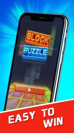 Block Puzzle 2021截图2